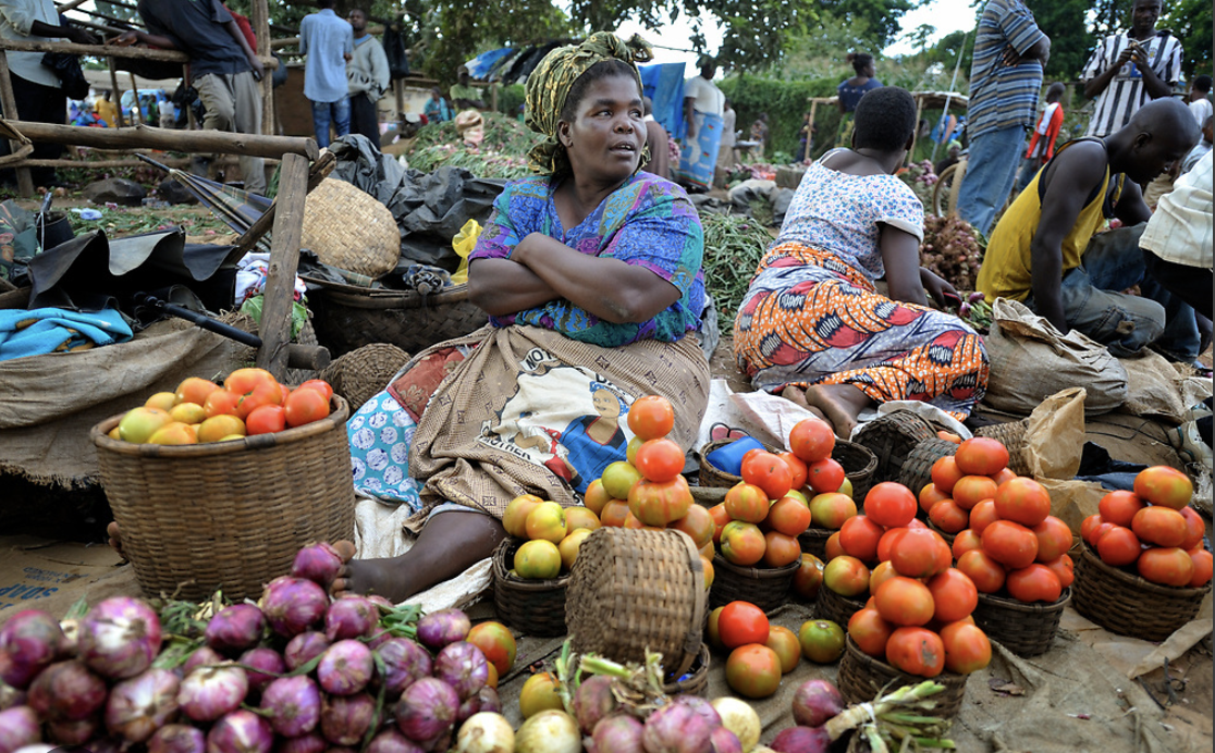 Smallholder Farmers